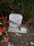 image of grave number 267883